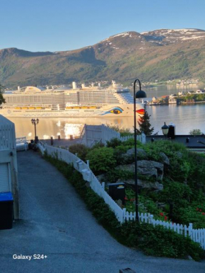 Duże mieszkanie w centrum Ålesund